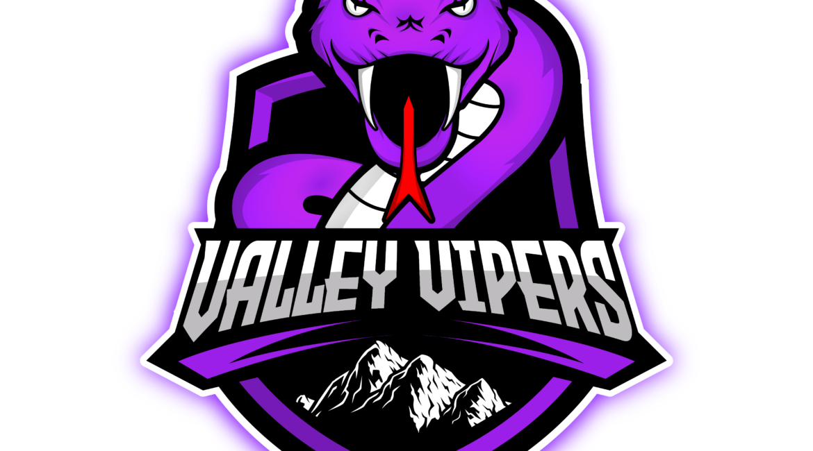 Logo for the Virginia Valley Vipers. Graphic of a purple snake baring its fangs over the words "Valley Vipers." Black and white mountains sit below the words.