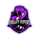 Logo for the Virginia Valley Vipers. Graphic of a purple snake baring its fangs over the words "Valley Vipers." Black and white mountains sit below the words.